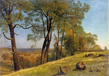  County Oil Painting - Landscape Rockland County California Albert Bierstadt